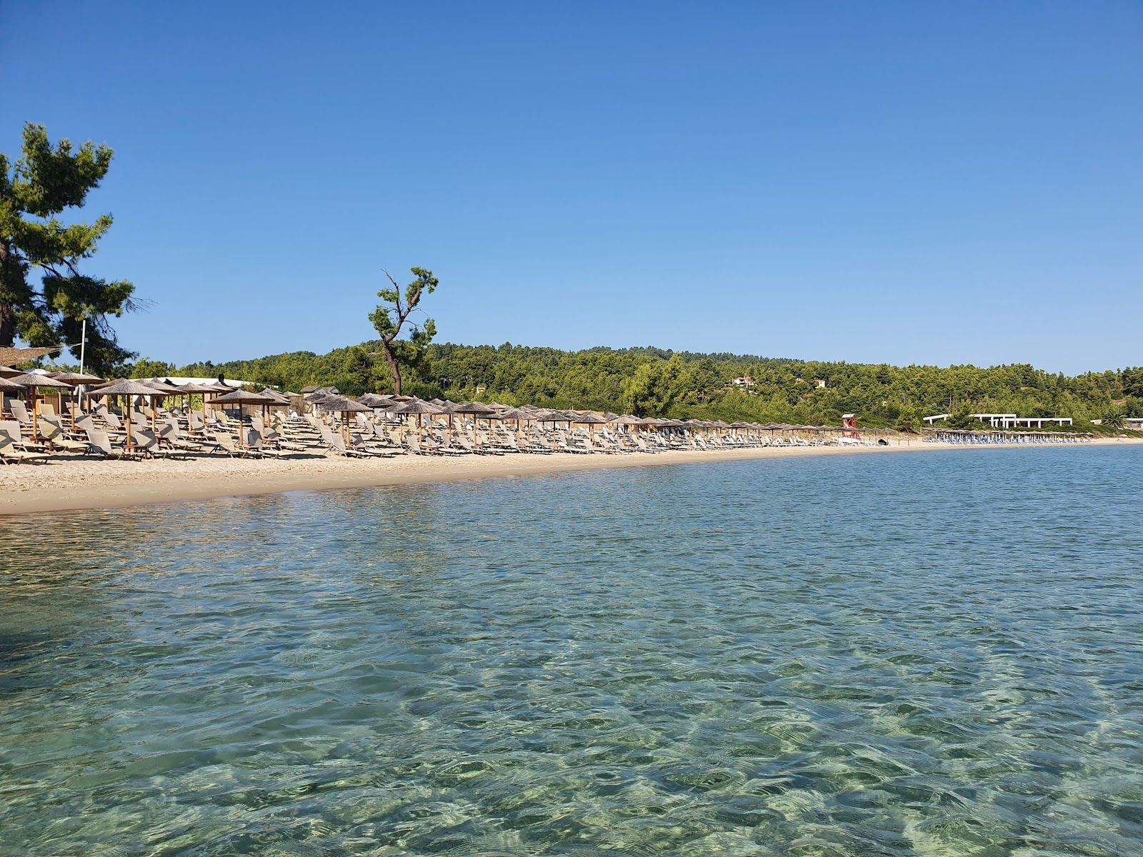 Paliouri Beach sunbeds