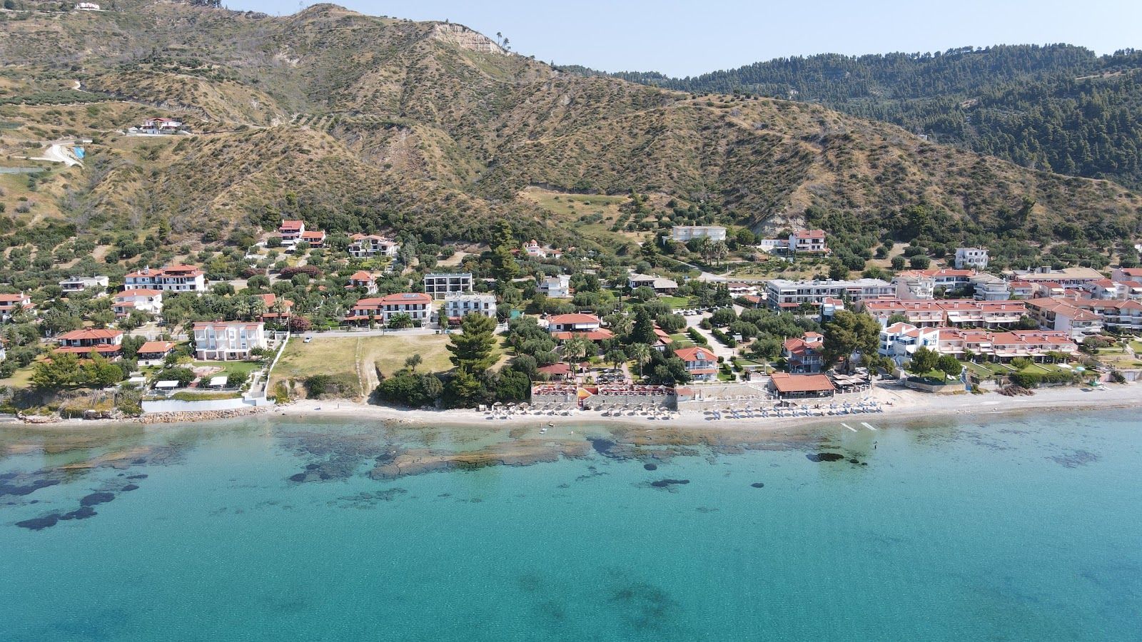 bird eye mola kaliva