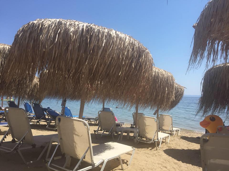 sunbeds tropical beach